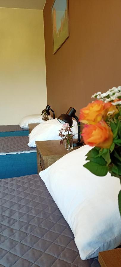 Ostoja Czersk Zamek Gora Kalwaria Apartamento Exterior foto
