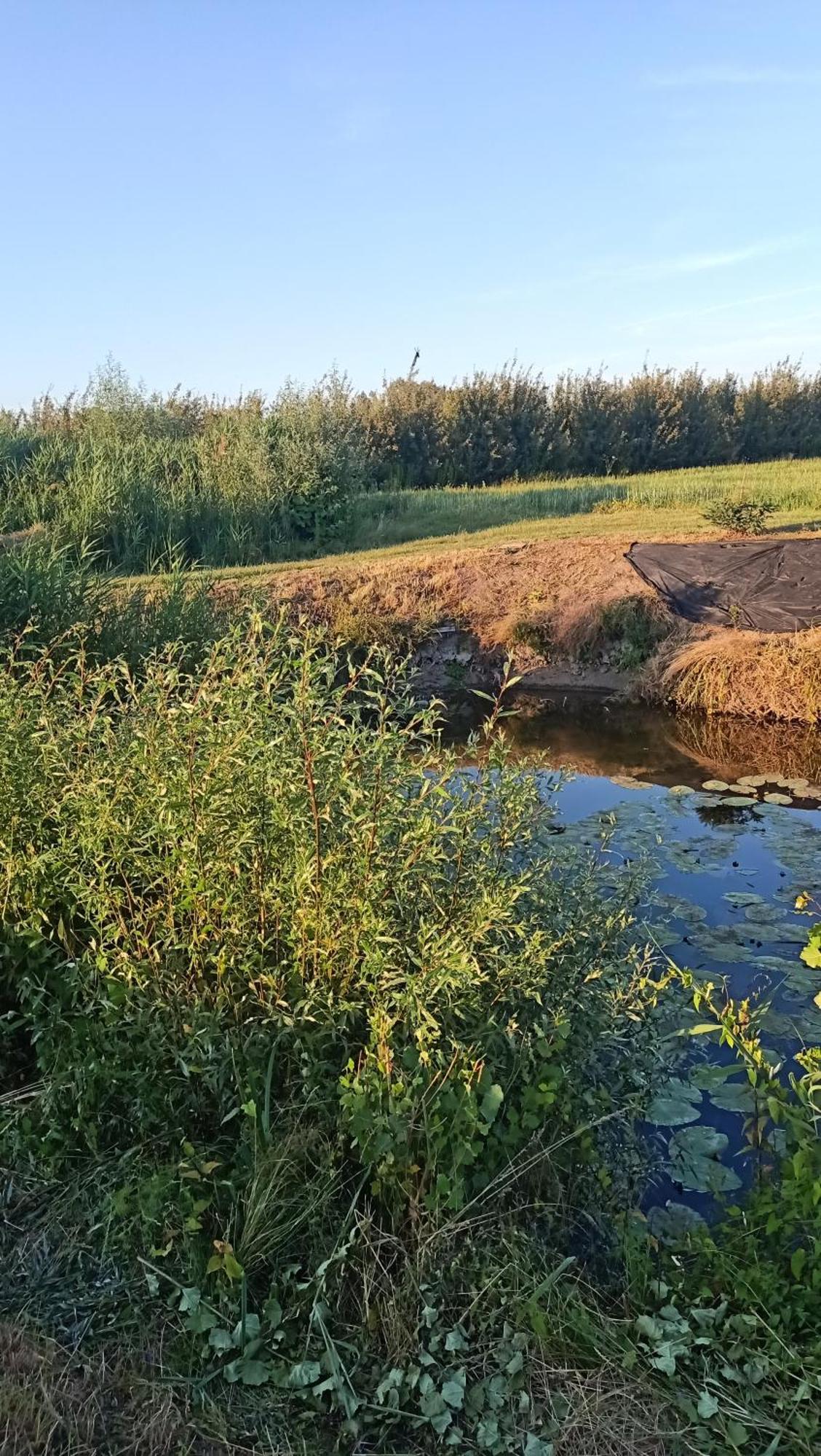 Ostoja Czersk Zamek Gora Kalwaria Apartamento Exterior foto